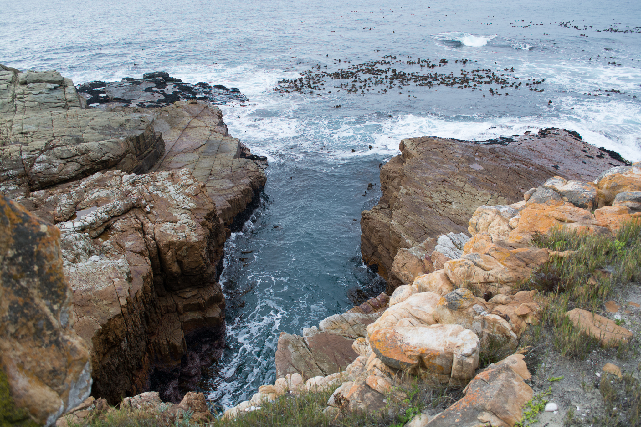 07 14 Cape Point Sea Cave Geography Project 147